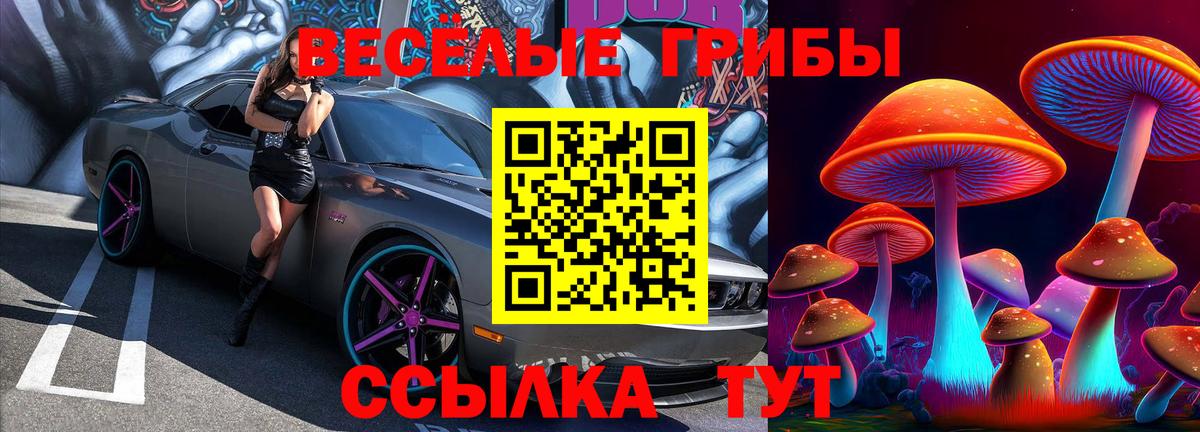 Галлюциногенные грибы Psilocybine cubensis Верхняя Салда