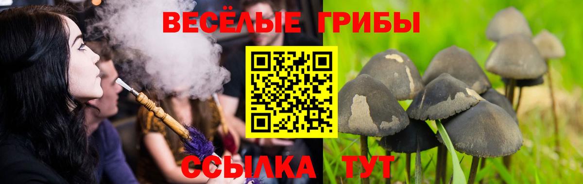 Псилоцибиновые грибы мухоморы  Вход с VPN  Верхняя Салда  Псилоцибиновые грибы Magic Shrooms 